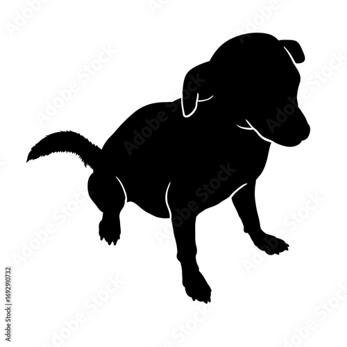 Dog Silhouette: A striking silhouette of a dog, captured in elegant black, showcasing the charm and form of this beloved companion.