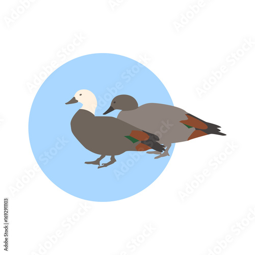 Ducks in Harmony: A visually striking illustration of two elegant ducks gracefully coexisting within a serene environment, with simplicity and balance in a round canvas.