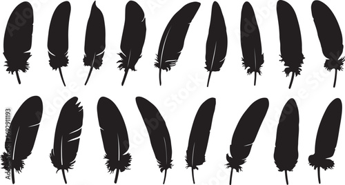 Black feather silhouettes collection quill plume