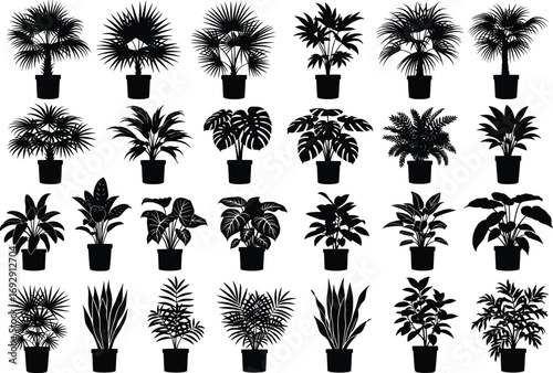 Indoor plant silhouette vector set, black potted houseplants icon collection, botanical foliage shapes, minimalist home decor, gardening clipart illustration