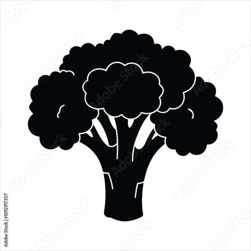 Silhouetted broccoli head icon symbol fresh healthy food ingredient simple graphic element