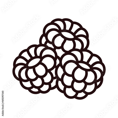Stylized outline illustration of three fresh raspberries