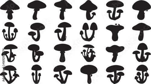 Elegant black mushroom silhouettes in various forms fungi white