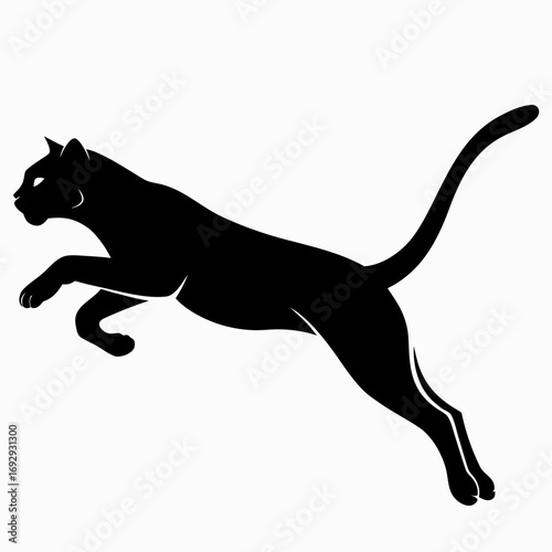 silhouette of a cat