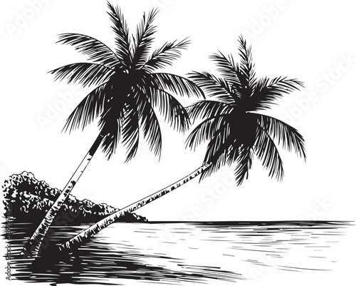 palm trees on the beach engraving outline vector art illustration design, palm tree silhouette, hand drawn beach drawing, line art palm tree, sea, beach, summer view, vintage palm tree on sea beach.	
