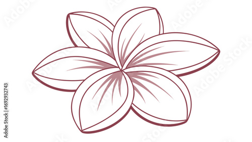 Vector Stylized Pink Frangipani Plumeria Flower illustration