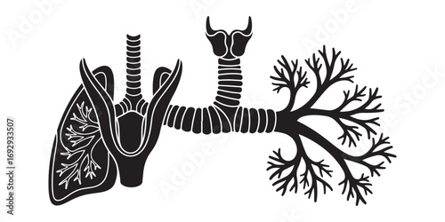 A stylized black and white illustration depicting the human trachea branching into the lungs, showcasing intricate bronchial tree details.
