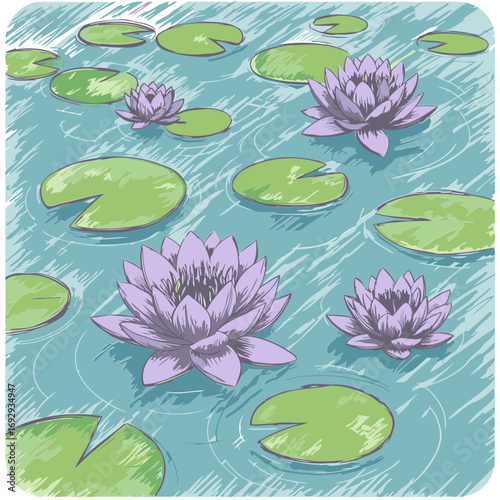 Hand-drawn illustration of water lilies and leaves on a tranquil pond surface. Detailed depiction of vibrant purple lilies and lush green leaves in a serene natural environment.