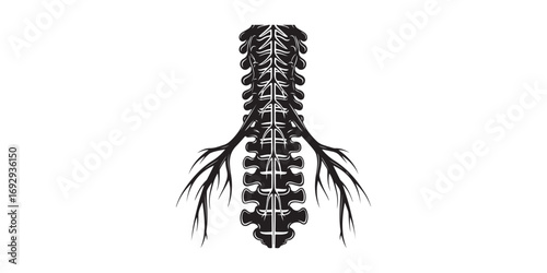 A stark black and white graphic depicts the human vertebral column with branching nerves extending outwards, symbolizing the central nervous system.