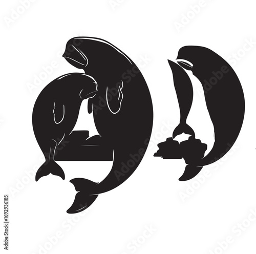 Black silhouettes of marine mammals black and white