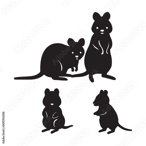 Four black marsupial silhouettes quokka white background