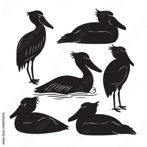 Six black bird silhouettes in various poses pelican
