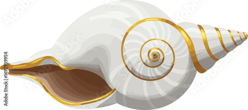 Elegant and luxurious white conch shell with golden accents, a stunning and minimalist artistic design for premium branding, spiritual themes, or high-end product decoration.