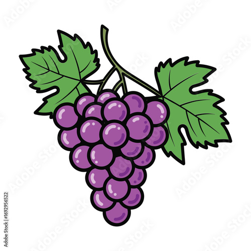 Bunch of purple grapes with green leaves on a white background cartoon illustration bunch of grapes fruit
