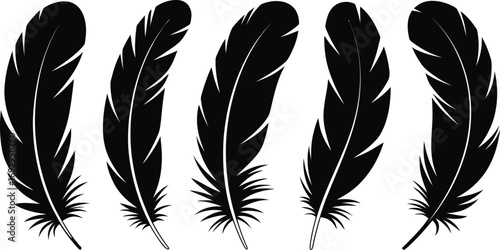 Feather Collection Set of Plume Quill Elements for Writing Decoration and Bird Symbolism