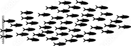 Abstract School of Fish Silhouette on Transparent Background for Marine Life Concepts