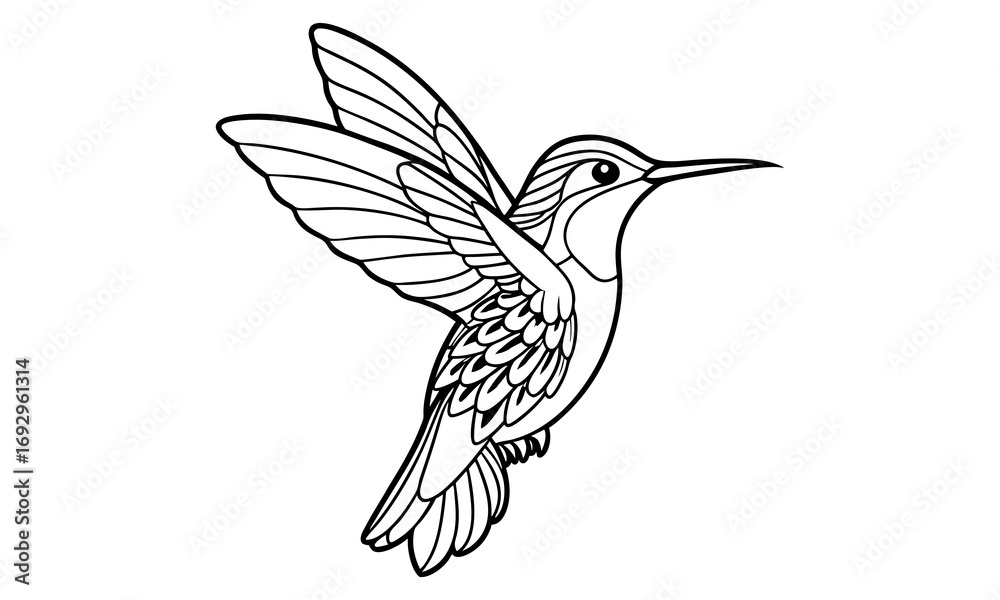 Obraz premium Hummingbird Kids t shirt design silhouette and vector line art, Detailed Line Art, Perfect for Relaxation and Stress Relief, Great for Adult Coloring Books or Printable Art Therapy.