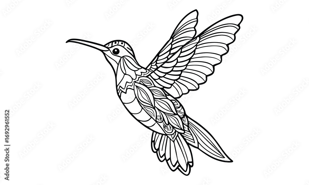 Fototapeta premium Hummingbird Kids t shirt design silhouette and vector line art, Detailed Line Art, Perfect for Relaxation and Stress Relief, Great for Adult Coloring Books or Printable Art Therapy.