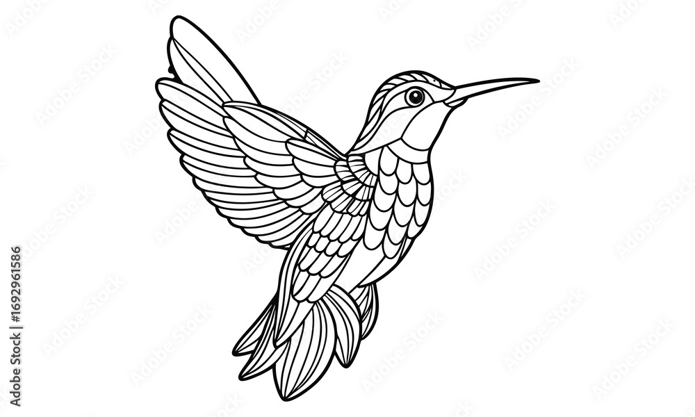 Fototapeta premium Hummingbird Kids t shirt design silhouette and vector line art, Detailed Line Art, Perfect for Relaxation and Stress Relief, Great for Adult Coloring Books or Printable Art Therapy.