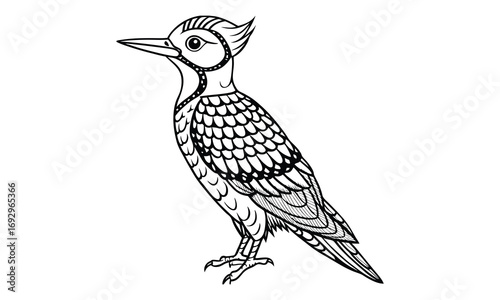 Woodpecker Kids t shirt design silhouette and vector line art, Detailed High-Quality Line Art, Suitable for Adult Coloring Books, Stress Relief, Relaxation, and Printable Art Therapy Projects.