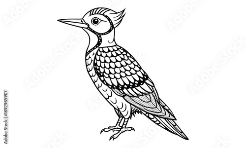 Woodpecker Kids t shirt design silhouette and vector line art, Detailed High-Quality Line Art, Suitable for Adult Coloring Books, Stress Relief, Relaxation, and Printable Art Therapy Projects.