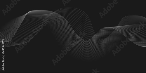 Elegant Abstract White Wave Lines Flowing Smoothly Across a Deep Black Background, Creating a Minimalist and Modern Contrast.
