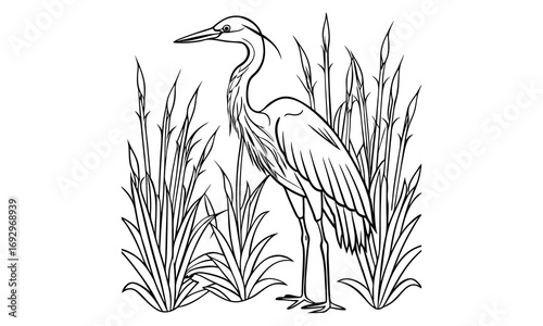 Heron Kids t shirt design silhouette and vector line art, High-Quality Illustration, Ideal for Relaxation and Stress Relief, Perfect for Adult Coloring Books and Printable Art Therapy.