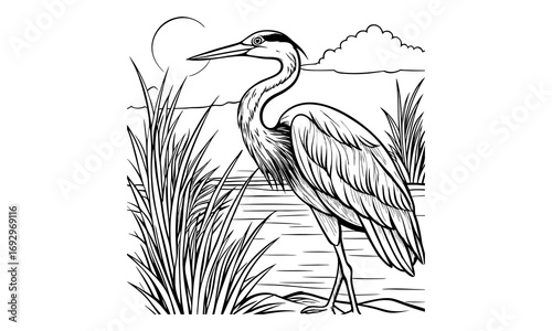 Heron Kids t shirt design silhouette and vector line art, High-Quality Illustration, Ideal for Relaxation and Stress Relief, Perfect for Adult Coloring Books and Printable Art Therapy.
