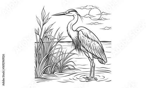 Heron Kids t shirt design silhouette and vector line art, High-Quality Illustration, Ideal for Relaxation and Stress Relief, Perfect for Adult Coloring Books and Printable Art Therapy.