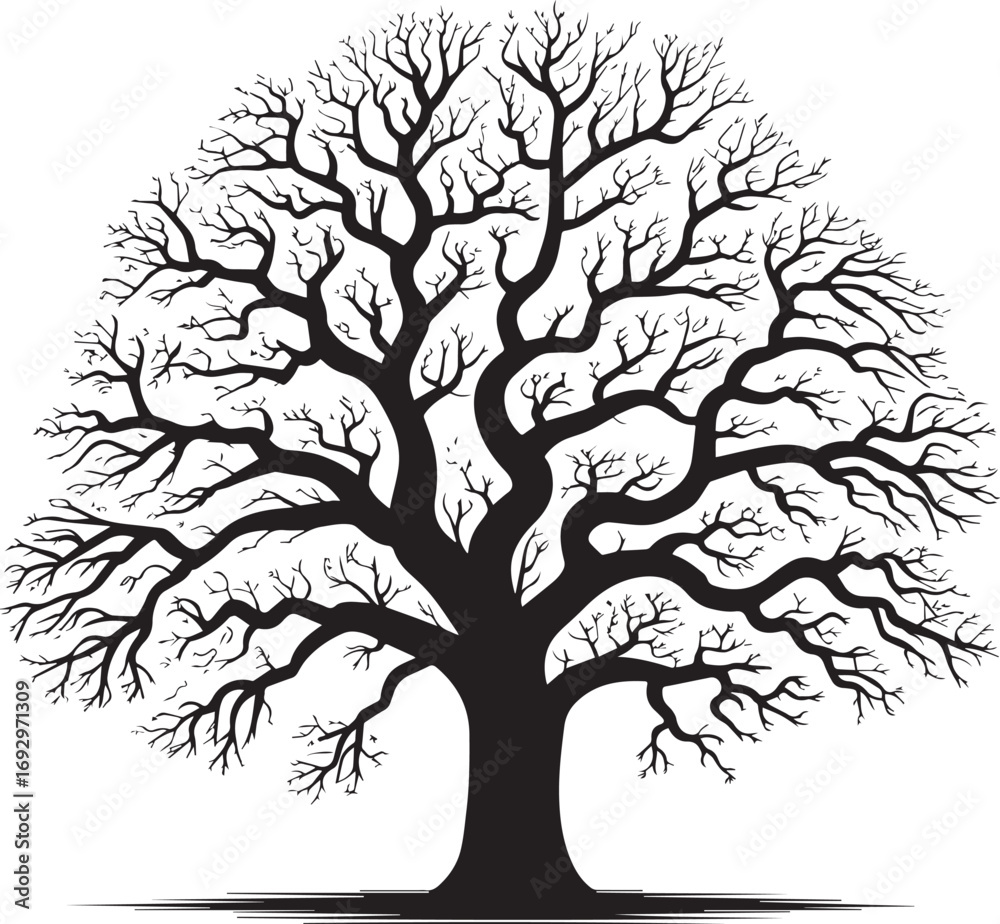 Obraz premium Black silhouette of a detailed leafless tree with intricate branches, perfect for nature themes, artwork, design, and decorative projects.