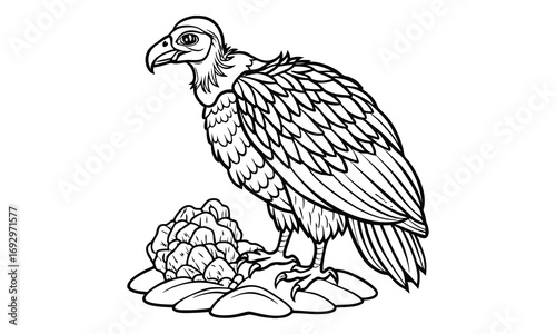 Vulture Kids t shirt design silhouette and vector line art, Detailed High-Quality Line Art, Suitable for Adult Coloring Books, Stress Relief, Relaxation, and Printable Art Therapy Projects.