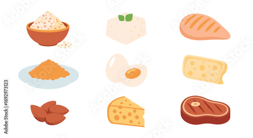 A diverse collection of high-protein food sources, including meat, dairy, nuts, and plant-based options for a balanced diet