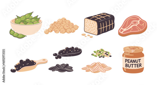 A diverse collection of healthy protein food sources including meat, legumes, and nuts, illustrated for nutrition and diet concepts