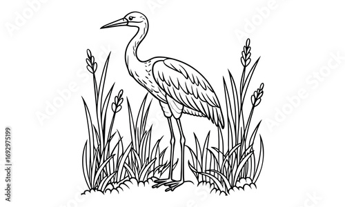 Stork Kids t shirt design silhouette and vector line art, Detailed High-Quality Line Art, Suitable for Adult Coloring Books, Stress Relief, Relaxation, and Printable Art Therapy Projects.