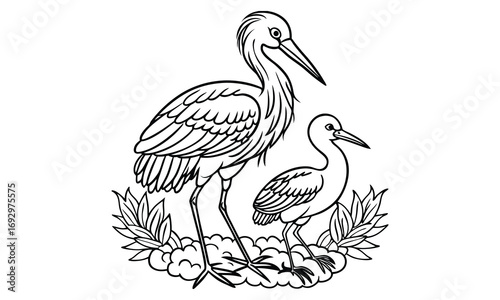 Stork Kids t shirt design silhouette and vector line art, Detailed High-Quality Line Art, Suitable for Adult Coloring Books, Stress Relief, Relaxation, and Printable Art Therapy Projects.
