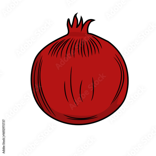 red onion vector