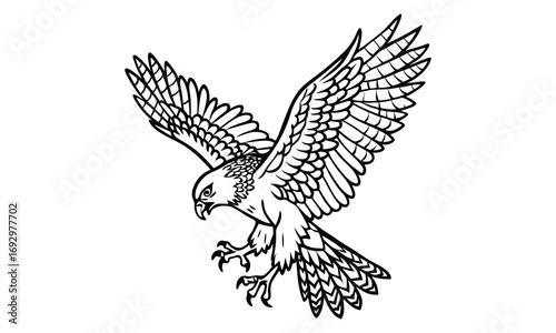 Hawk Kids t shirt design silhouette and vector line art, Detailed High-Quality Line Art, Suitable for Adult Coloring Books, Stress Relief, Relaxation, and Printable Art Therapy Projects.