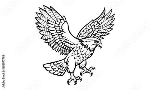 Hawk Kids t shirt design silhouette and vector line art, Detailed High-Quality Line Art, Suitable for Adult Coloring Books, Stress Relief, Relaxation, and Printable Art Therapy Projects.