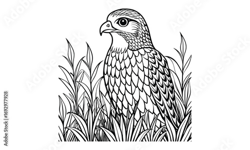 Hawk Kids t shirt design silhouette and vector line art, Detailed High-Quality Line Art, Suitable for Adult Coloring Books, Stress Relief, Relaxation, and Printable Art Therapy Projects.