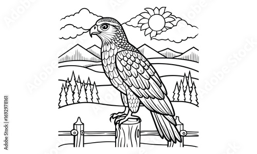 Hawk Kids t shirt design silhouette and vector line art, Detailed High-Quality Line Art, Suitable for Adult Coloring Books, Stress Relief, Relaxation, and Printable Art Therapy Projects.