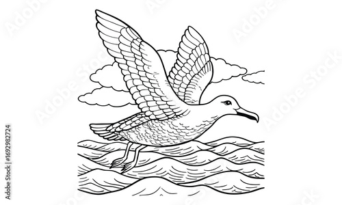Albatross Kids t shirt design silhouette and vector line art, Detailed High-Quality Line Art, Suitable for Adult Coloring Books, Stress Relief, Relaxation, and Printable Art Therapy Projects.
