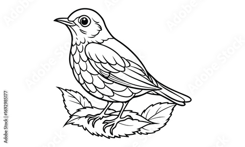 Robin Kids t shirt design silhouette and vector line art, Detailed High-Quality Line Art, Suitable for Adult Coloring Books, Stress Relief, Relaxation, and Printable Art Therapy Projects.