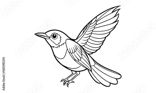 Robin Kids t shirt design silhouette and vector line art, Detailed High-Quality Line Art, Suitable for Adult Coloring Books, Stress Relief, Relaxation, and Printable Art Therapy Projects.
