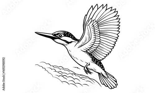 Kingfisher Kids t shirt design silhouette and vector line art, Detailed Line Art, Perfect for Relaxation and Stress Relief, Great for Adult Coloring Books or Printable Art Therapy Activities.