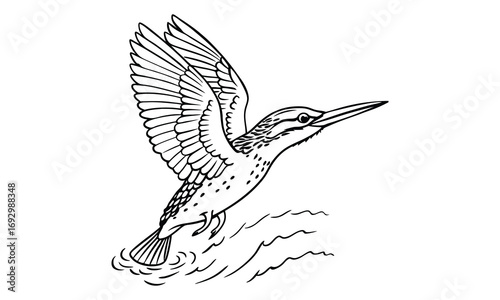 Kingfisher Kids t shirt design silhouette and vector line art, Detailed Line Art, Perfect for Relaxation and Stress Relief, Great for Adult Coloring Books or Printable Art Therapy Activities.