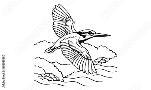 Kingfisher Kids t shirt design silhouette and vector line art, Detailed Line Art, Perfect for Relaxation and Stress Relief, Great for Adult Coloring Books or Printable Art Therapy Activities.