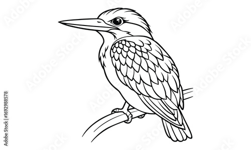 Kingfisher Kids t shirt design silhouette and vector line art, Detailed Line Art, Perfect for Relaxation and Stress Relief, Great for Adult Coloring Books or Printable Art Therapy Activities.