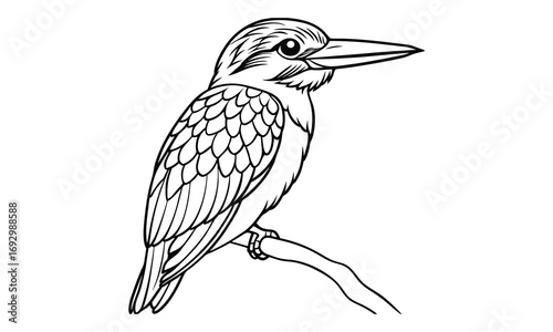 Kingfisher Kids t shirt design silhouette and vector line art, Detailed Line Art, Perfect for Relaxation and Stress Relief, Great for Adult Coloring Books or Printable Art Therapy Activities.