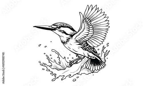 Kingfisher Kids t shirt design silhouette and vector line art, Detailed Line Art, Perfect for Relaxation and Stress Relief, Great for Adult Coloring Books or Printable Art Therapy Activities.