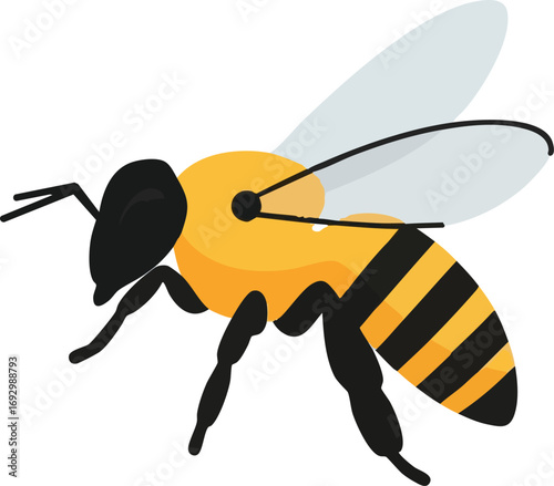 Bee Vector Illustration with Black and Yellow Stripes Organic Insect Design Elements for Modern Honey Branding